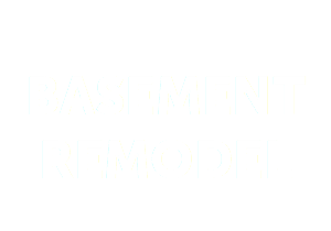  Basement Remodel
